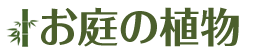 お庭の植物